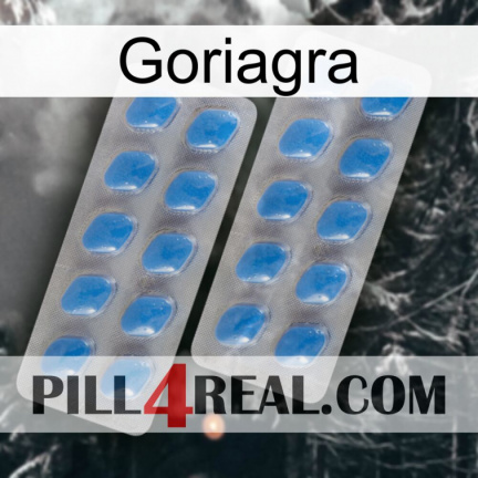 Goriagra 23